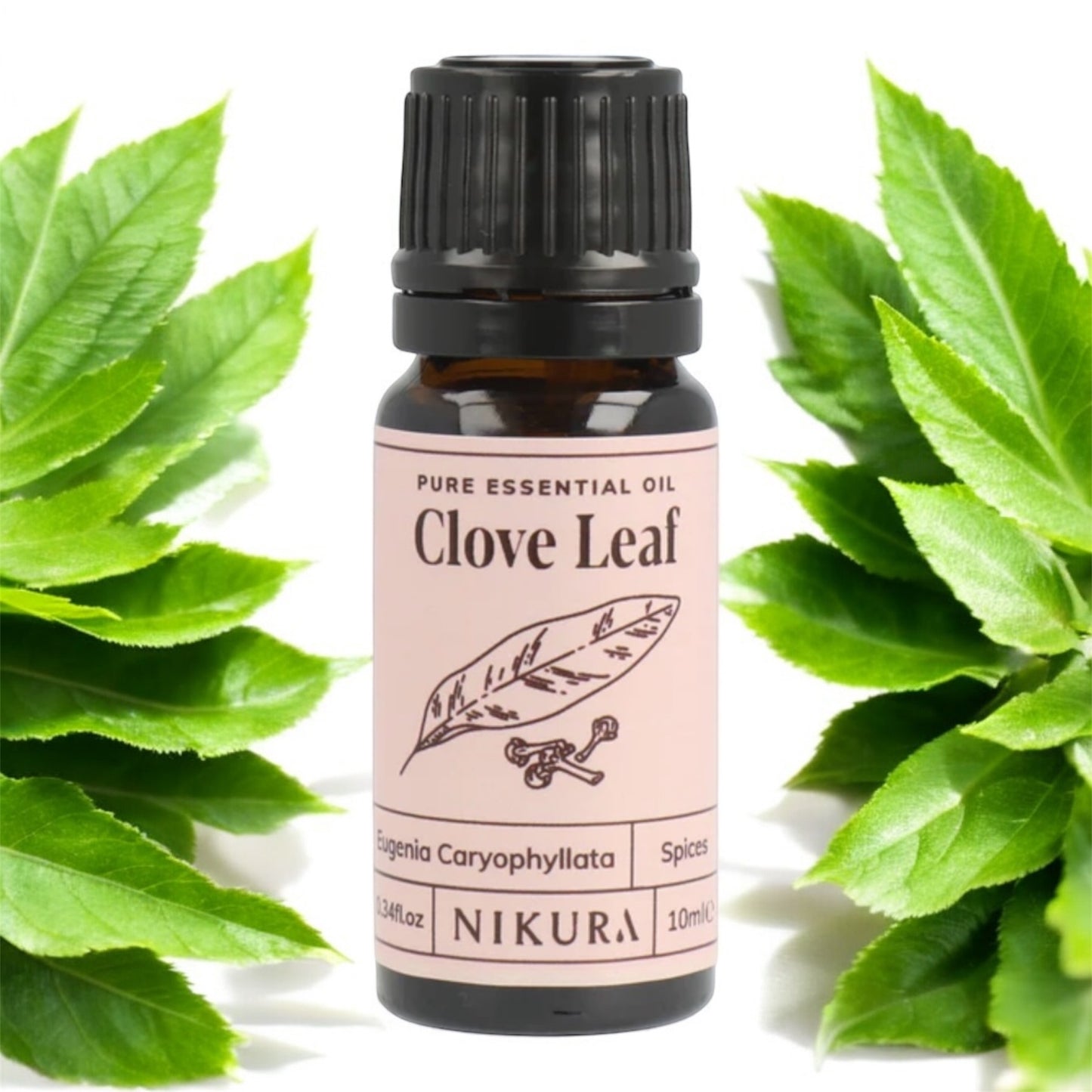 Pure Essential Oil of Clove Leaf. Eugenia Caryophyllata 10ML. Warming and soothing. Fights infection and eases pain.