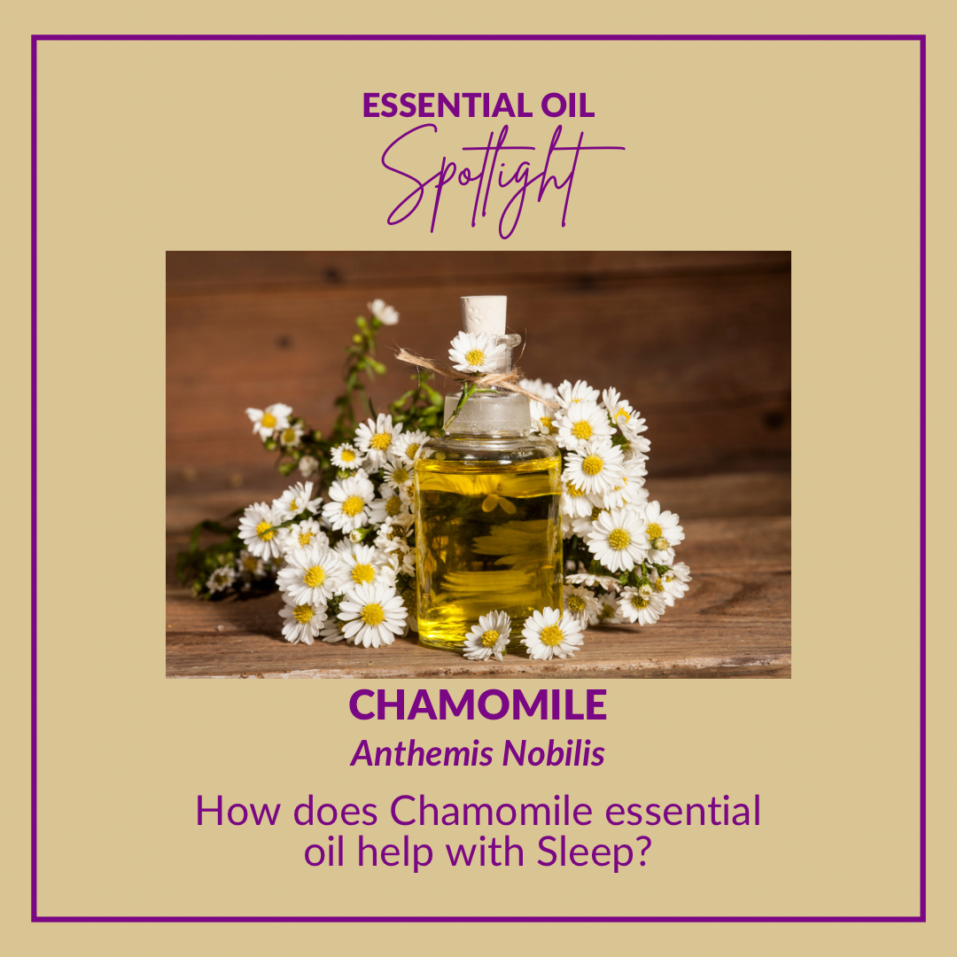 Aromatherapy 'Dream Team' Sleep support essential oil blend. Calming and soothing for insomnia. Provides an air of tranquillity. Helps you fall and stay asleep. 10ml