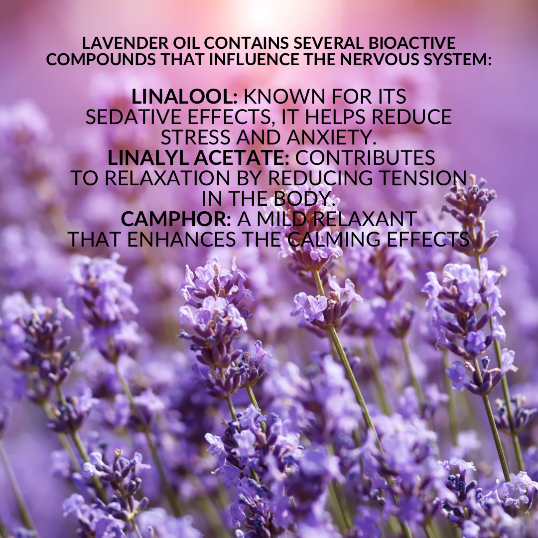 Pure Essential Oil of Lavender. Lavendula Angustifolia 10ML. Woody floral scent. The most versatile oil of all. Alleviates insomnia like no other.