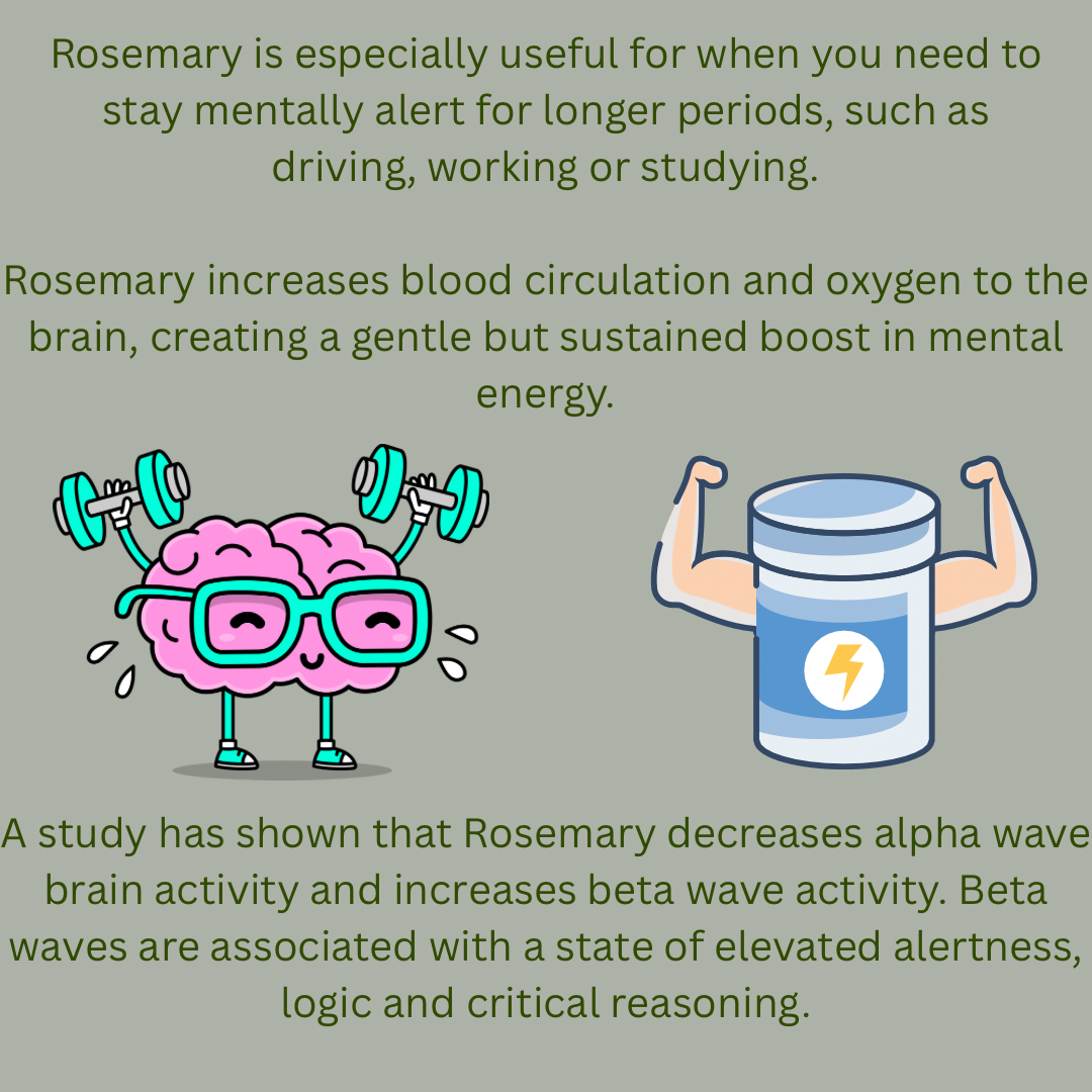 Organic aromatherapy energising scrub with essential oils of Peppermint Grapefruit Rosemary Tea Tree natural oils, butters, sugar and walnut shell