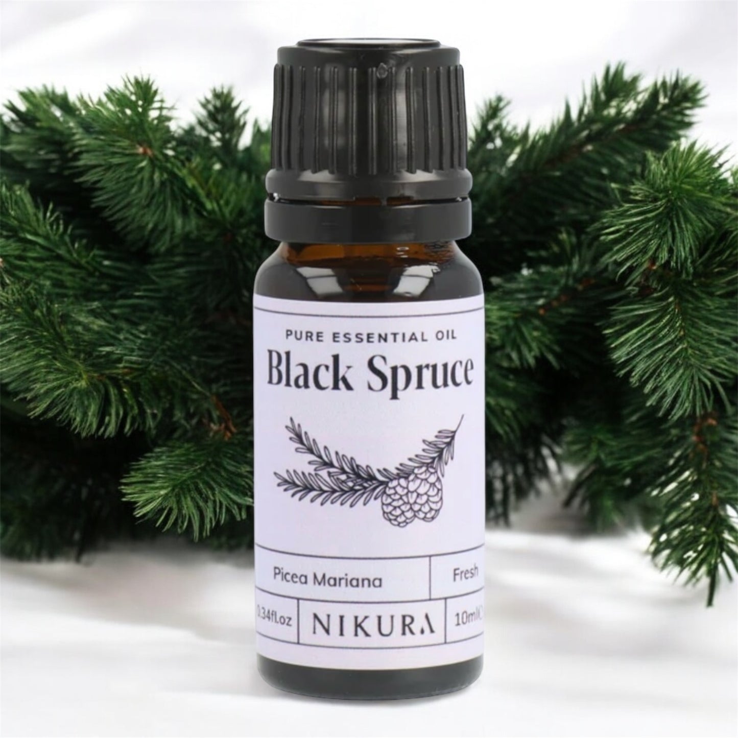 Pure Essential Oil of Black Spruce. Picia Mariana 10ML. Sweet and woody scent. Mood boosting.