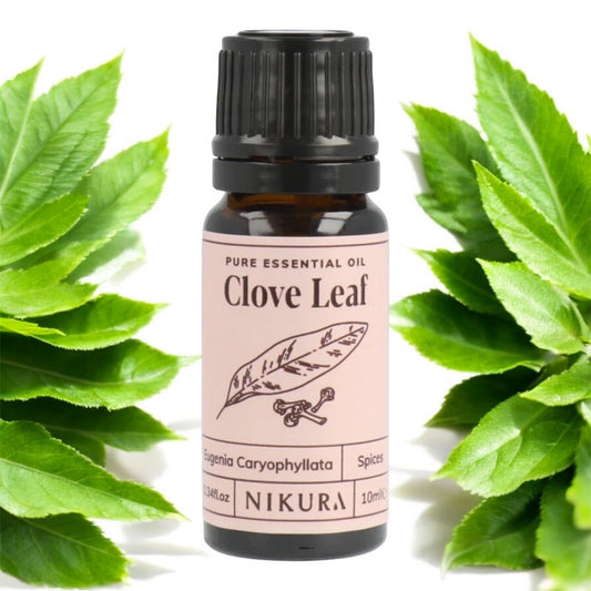 Pure Essential Oil of Clove Leaf. Eugenia Caryophyllata 10ML. Warming and soothing. Fights infection and eases pain.