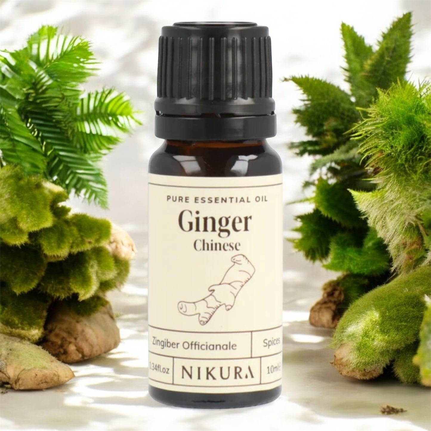 Pure Essential oil of Ginger. Zingiber Officianale. 10ml. Warming, mood boosting spice oil.