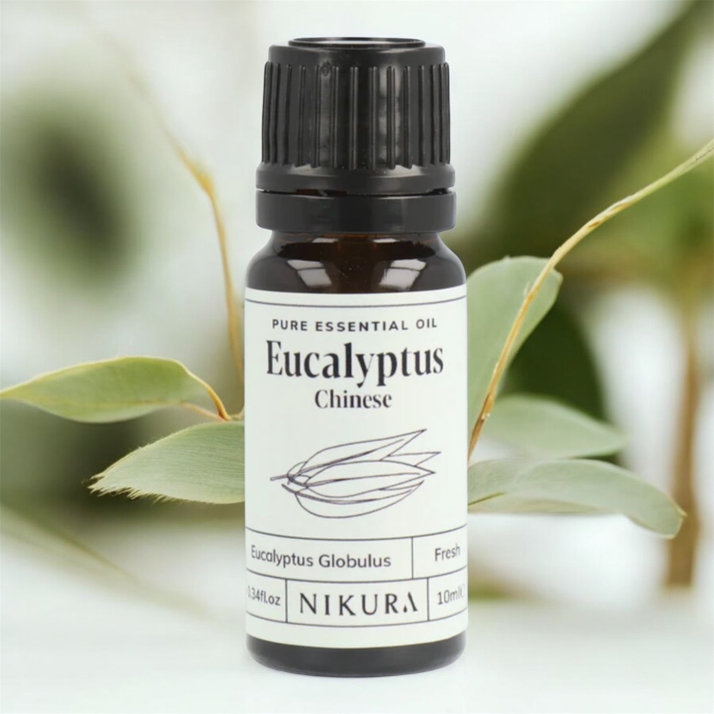 Pure Essential Oil of Eucalyptus. Eucalyptus Globulus 10ML. Natures finest decongestant.