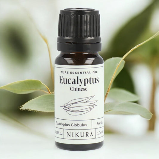 Pure Essential Oil of Eucalyptus. Eucalyptus Globulus 10ML. Natures finest decongestant.