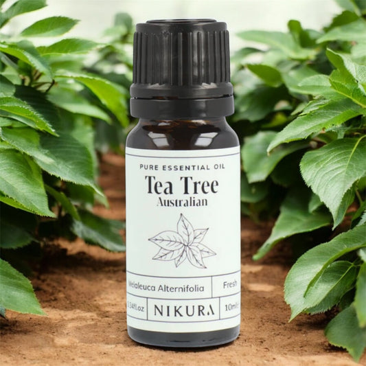 Pure Essential Oil of Tea Tree. Melaleuca Alternifolia 10ML. Skin care champion. Anti- fungal, antibacterial, antiseptic, antibiotic.